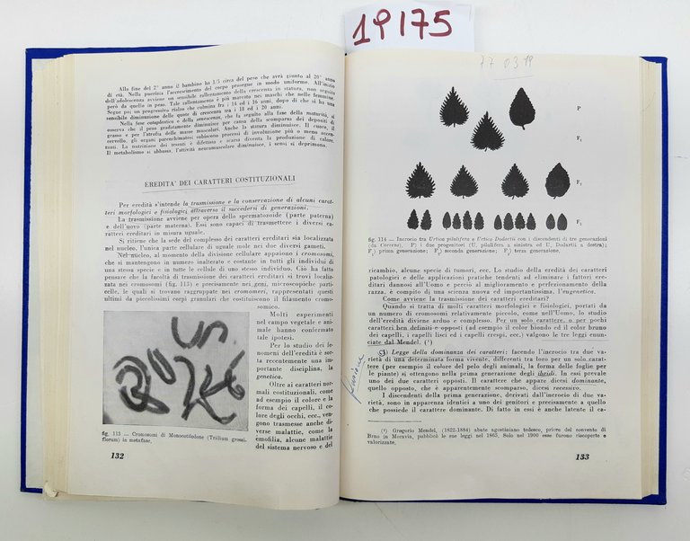 Bordiga Sala Anatomia e fisiologia dell'uomo . delle piante ad …