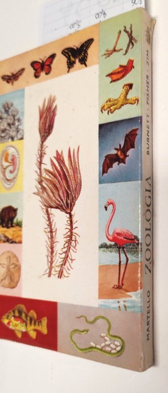 Zoologia introduzione allo studio del regno animale Martello 1962