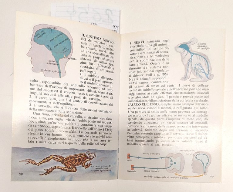 Zoologia introduzione allo studio del regno animale Martello 1962