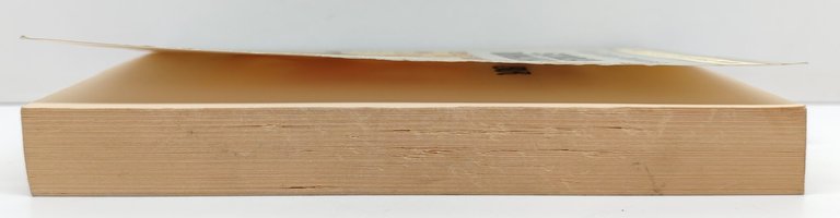 Caio Velleio Patercolo Storia romana BUR Rizzoli 1° edizione 1997 | Immagine Gallery 3