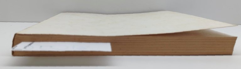 Carlo Erba una memoria nel futurismo 1884-1917 De Luca 1981