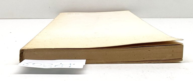 Cataldo di Napoli I meridionali nel nord Italia Editoriale Idea …