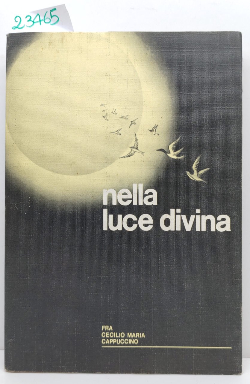 Cecilio Maria Nella luce divina Opera San Francesco 1976 | Immagine principale