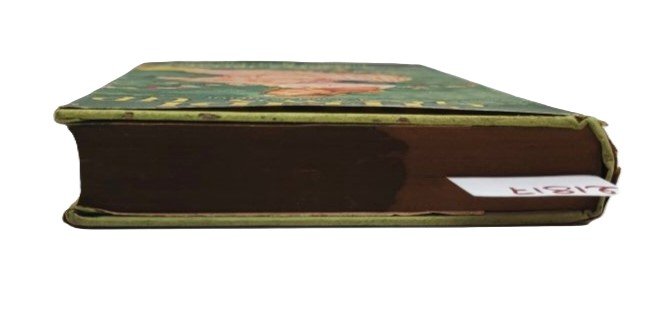 Charles Tritten Heidi grows up illustrated Pelagie Doane Collins 1971