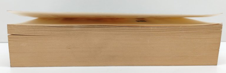 Cicerone Tuscolana BUR Rizzoli 1° edizione 1996 | Immagine Gallery 3