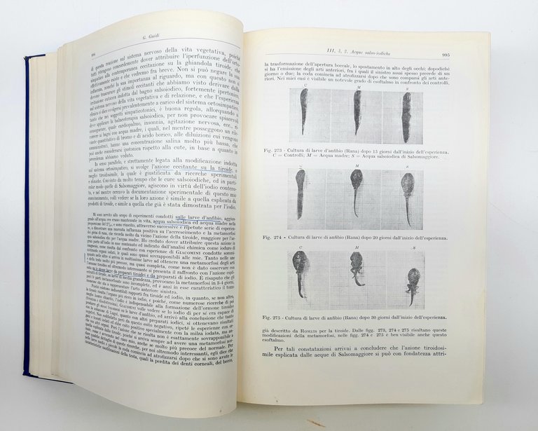 CNR Trattato di idroclimatologia clinica 2 volumi Cappelli 1950