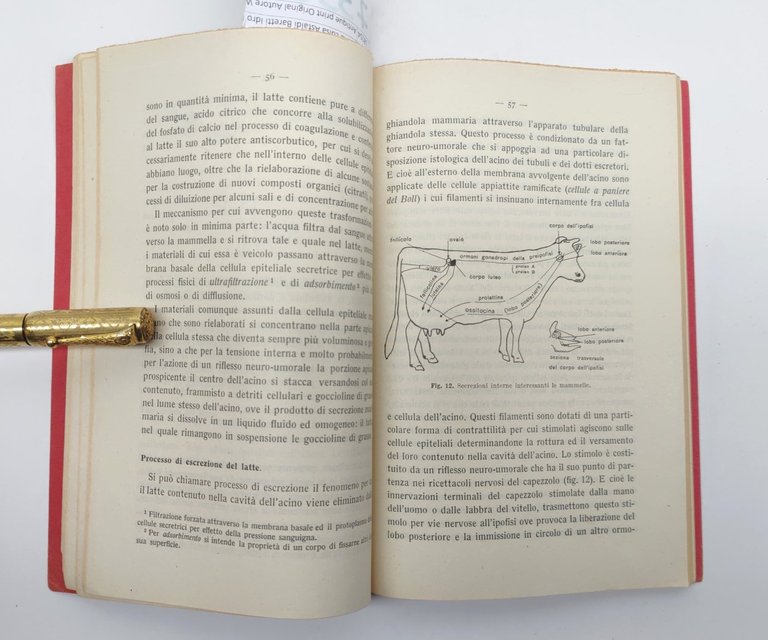 Corrado Paci Il latte Vallardi 1960