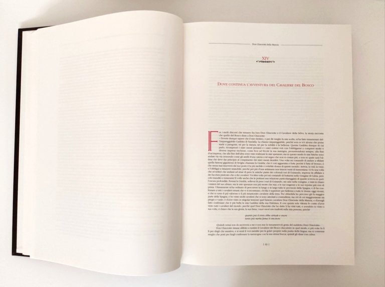 Don Chisciotte della Mancia Arte Scripta 2001