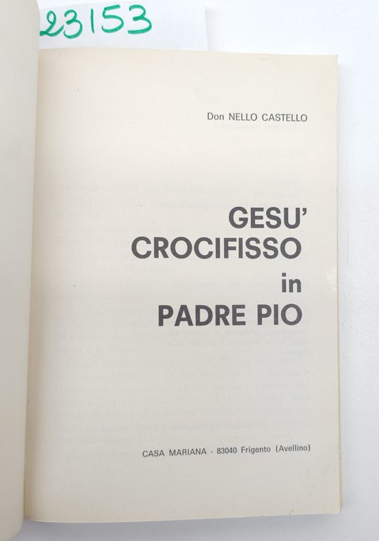 Don Nello Castello Gesù crocifisso in Padre Pio Casa Mariana … | Immagine Gallery 3
