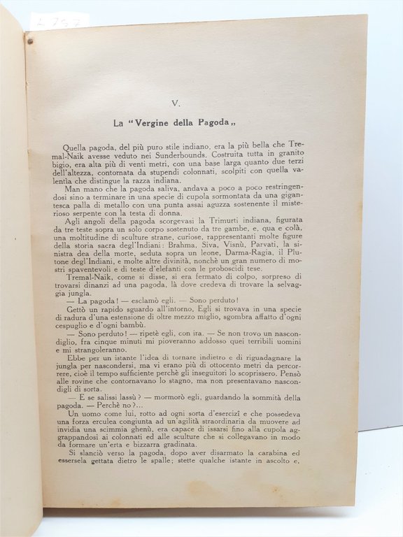 Emilio Salgari I misteri della jungla nera illustrazioni del pittore …