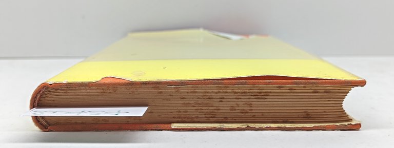 Fernando Cardinale Cento All'ombra della croce Profili Edizioni il Crocifisso …