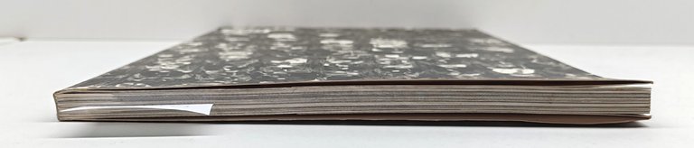 Fernando Scianna Viaggio a Lourdes Mondadori 1° edizione 1996