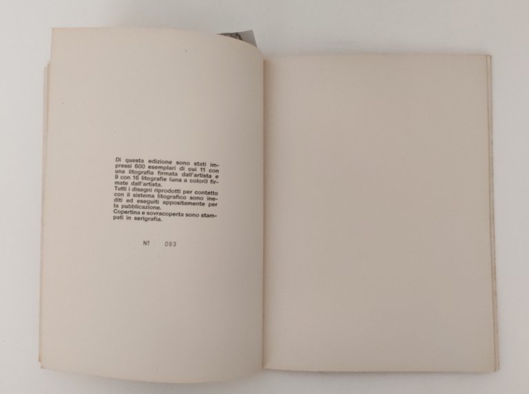 Fioretti panorama d'arte moderna grafica La Nuova Foglio