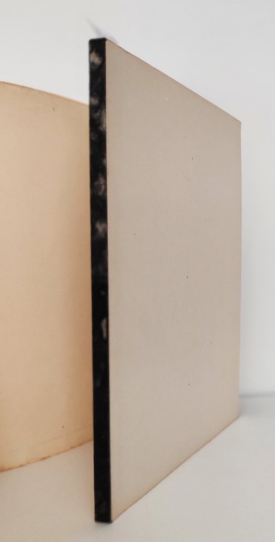 Fioretti panorama d'arte moderna grafica La Nuova Foglio