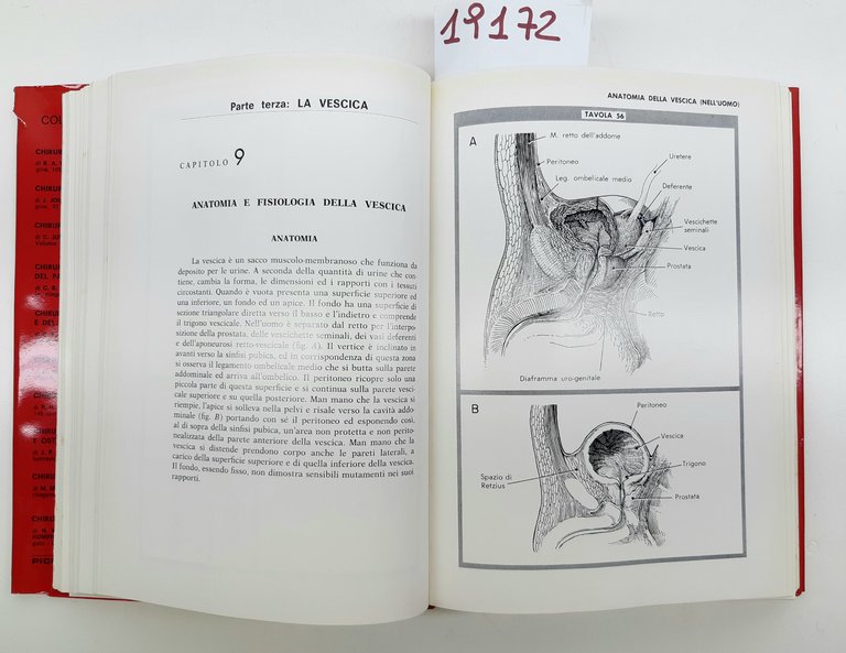 Flocks Culp Chirurgia urologica Piccinin 1973 1° edizione