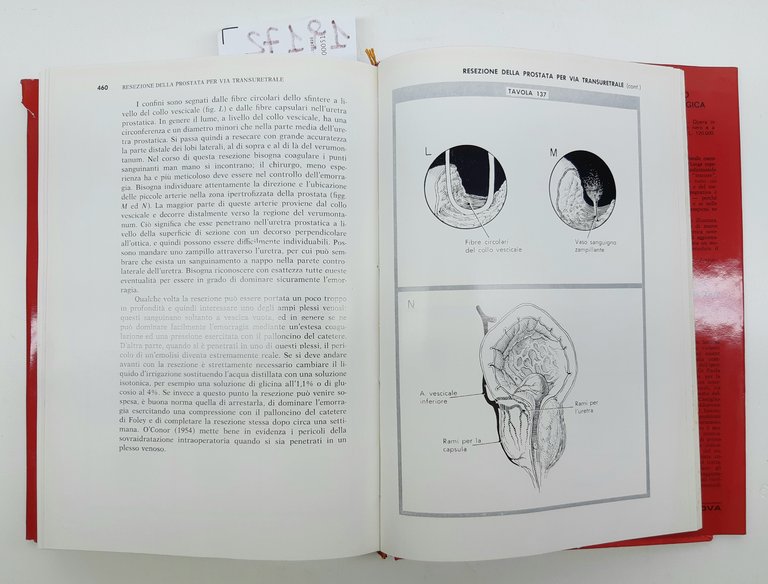 Flocks Culp Chirurgia urologica Piccinin 1973 1° edizione