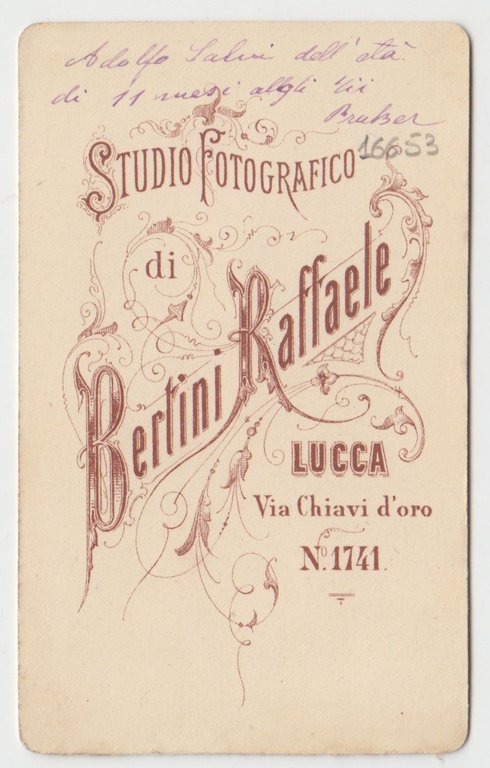 Foto photo cdv ritratto di Adolfo Salvi by R. Bertini …