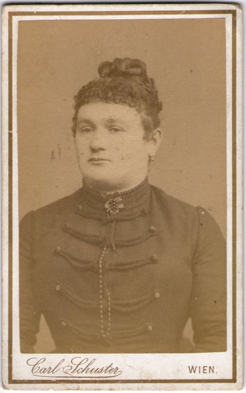 Foto photo gentildonna con spilla by Carl Schuster Wien cdv …