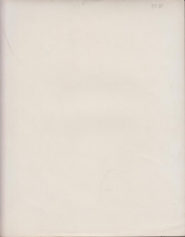 foto photo vintage La grande corsa Tony Curtis 1965 Warner …