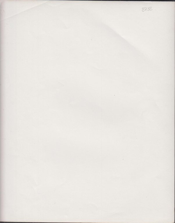 foto photo vintage La grande corsa Tony Curtis Warner Bros …