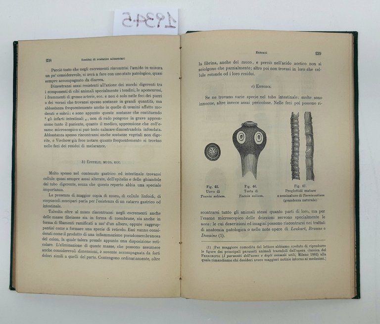Friedlaender Martinotti Tecnica microscopica UTET 1885 | Immagine Gallery 11