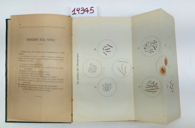 Friedlaender Martinotti Tecnica microscopica UTET 1885 | Immagine Gallery 5