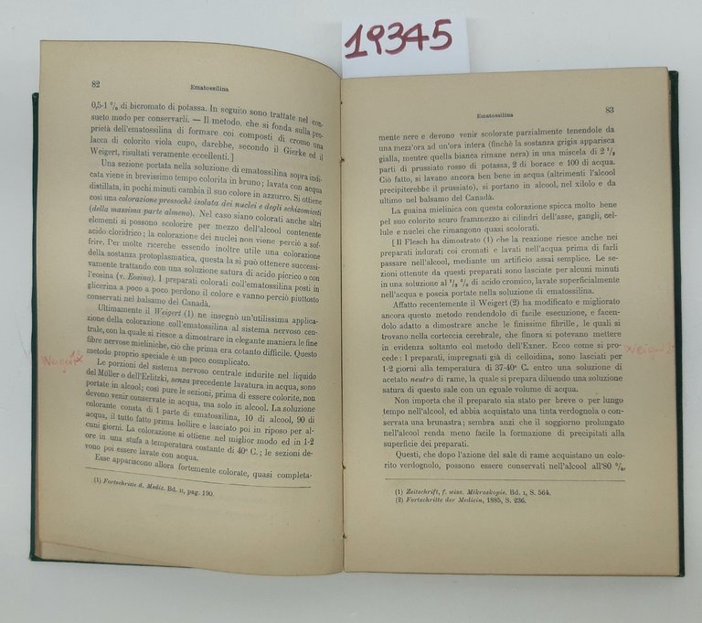 Friedlaender Martinotti Tecnica microscopica UTET 1885 | Immagine Gallery 8