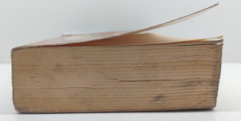 Gerlando Lentini Agostino Chieppi portatore di Cristo Città Nuova 1990 | Immagine Gallery 4