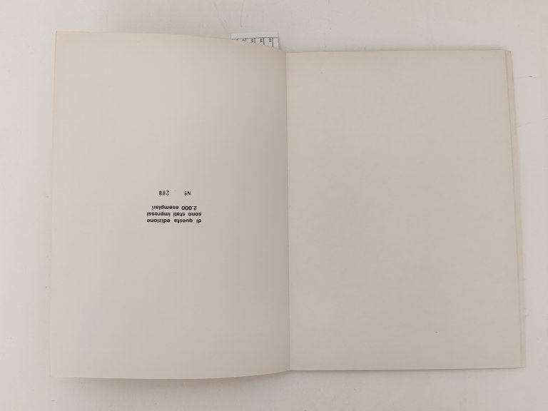 Gianni Luciotti La Nuova Foglio 1971