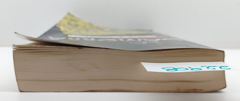 Gigi di Fiore La Camorra storie e documenti Utet 2006 | Immagine Gallery 2