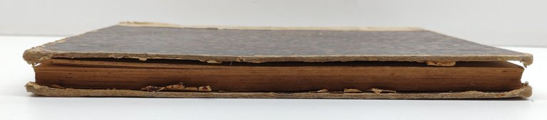 Giovanni Martinelli L'istinto del predominio istituzione del naturalismo storico Cavotta … | Immagine Gallery 7