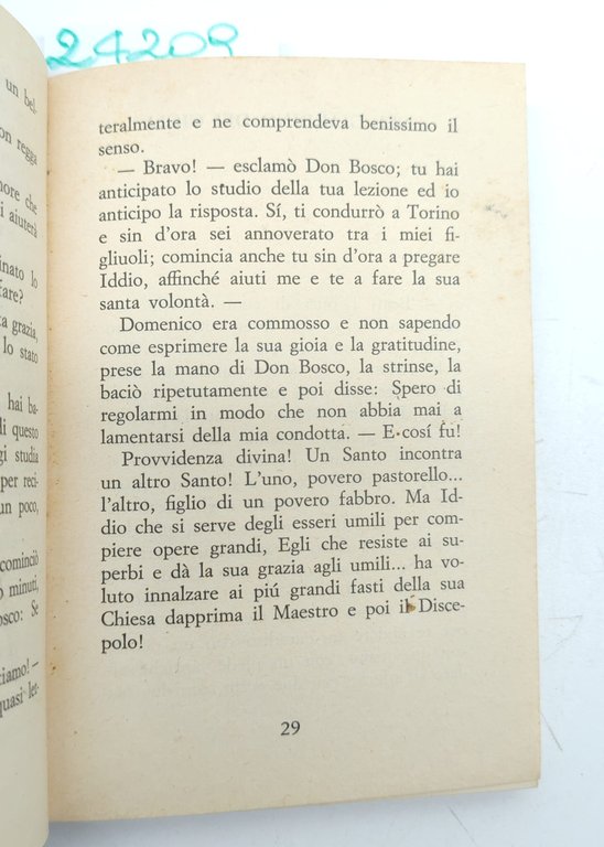 Giuseppe Tomaselli Il giglio di Montorio San Domenico Savio Libreria … | Immagine Gallery 4