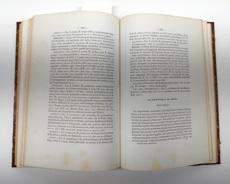 Grammatica greca Curtis Illustrazioni Filologico-Comparative Fumi Napoli 1868