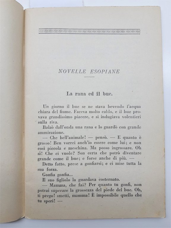 Graziani Camillucci La Nuova Scuola Occupazioni Intellettuali Creative Classe I-1928