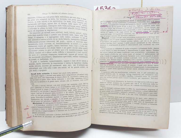 Haubner Trattato delle malattie interne ed esterne degli animali domestici …