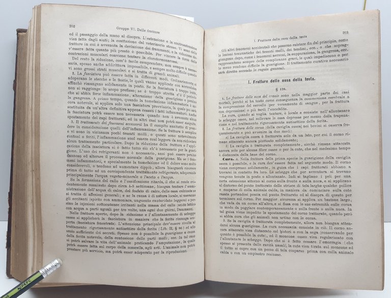 Haubner Trattato delle malattie interne ed esterne degli animali domestici …