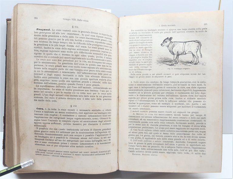 Haubner Trattato delle malattie interne ed esterne degli animali domestici …