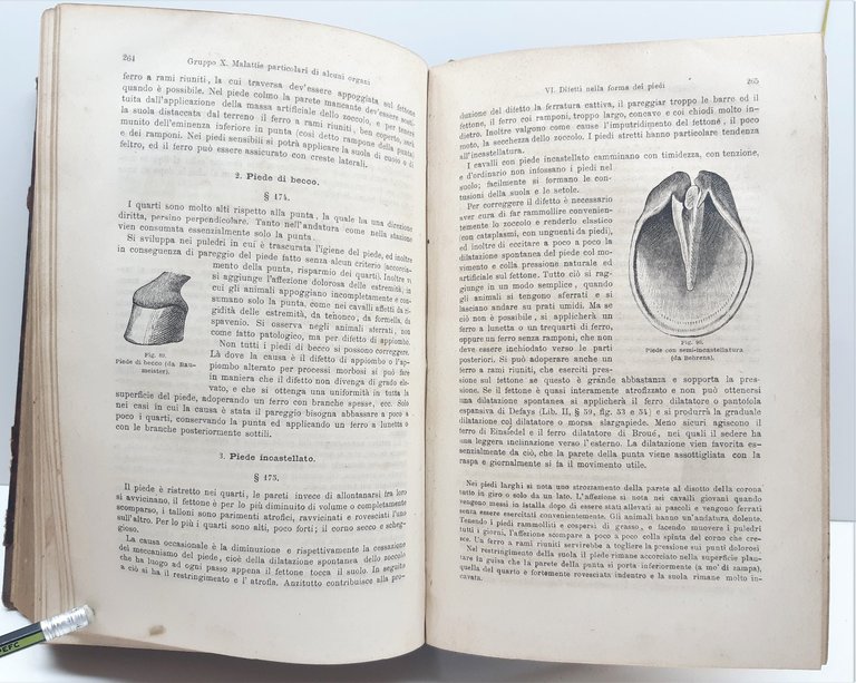 Haubner Trattato delle malattie interne ed esterne degli animali domestici …