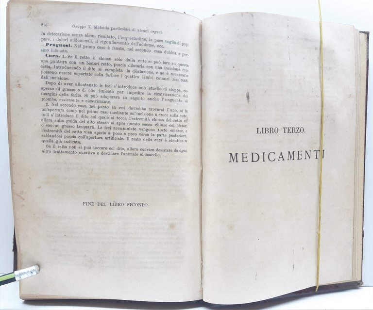 Haubner Trattato delle malattie interne ed esterne degli animali domestici …