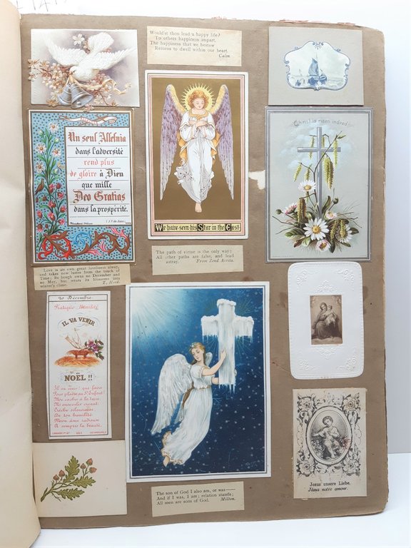 Havell William Album Disegni-Drawings-Originali-40 Cartoline-1820 C.A.