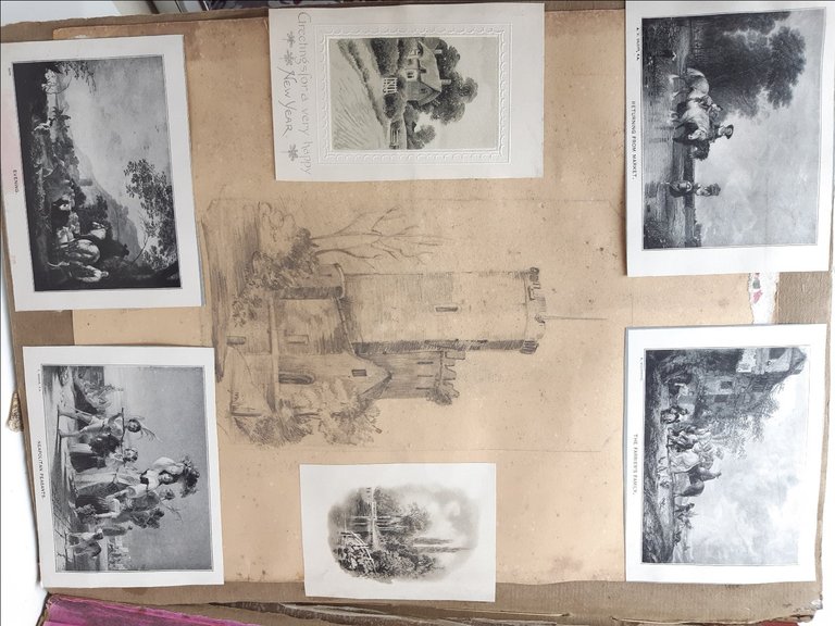 Havell William Album Disegni-Drawings-Originali-40 Cartoline-1820 C.A.