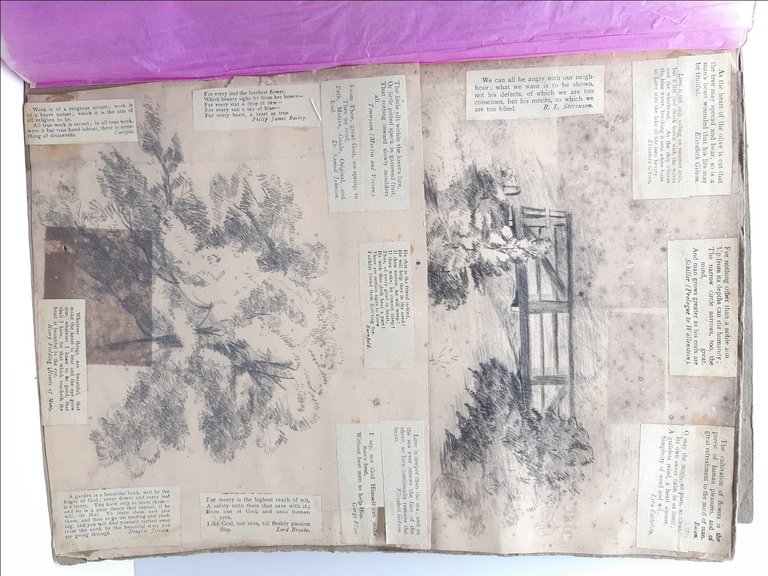 Havell William Album Disegni-Drawings-Originali-40 Cartoline-1820 C.A.