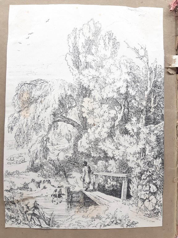 Havell William Album Disegni-Drawings-Originali-40 Cartoline-1820 C.A.