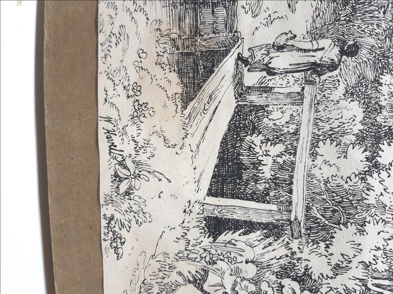 Havell William Album Disegni-Drawings-Originali-40 Cartoline-1820 C.A.