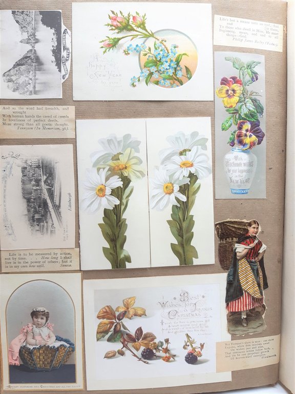 Havell William Album Disegni-Drawings-Originali-40 Cartoline-1820 C.A.