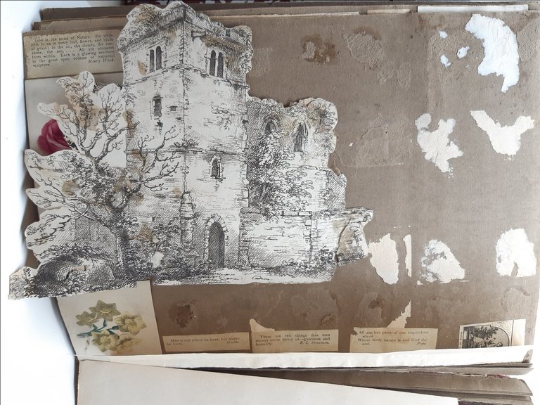 Havell William Album Disegni-Drawings-Originali-40 Cartoline-1820 C.A.