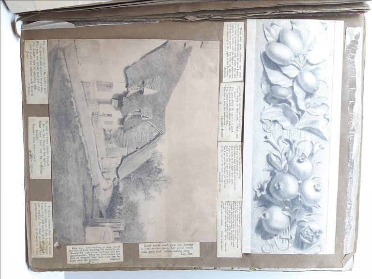 Havell William Album Disegni-Drawings-Originali-40 Cartoline-1820 C.A.