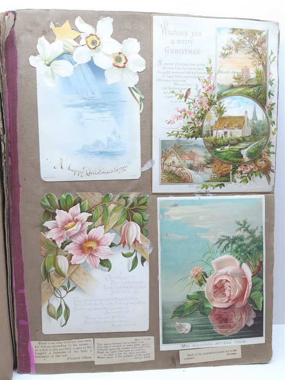 Havell William Album Disegni-Drawings-Originali-40 Cartoline-1820 C.A.