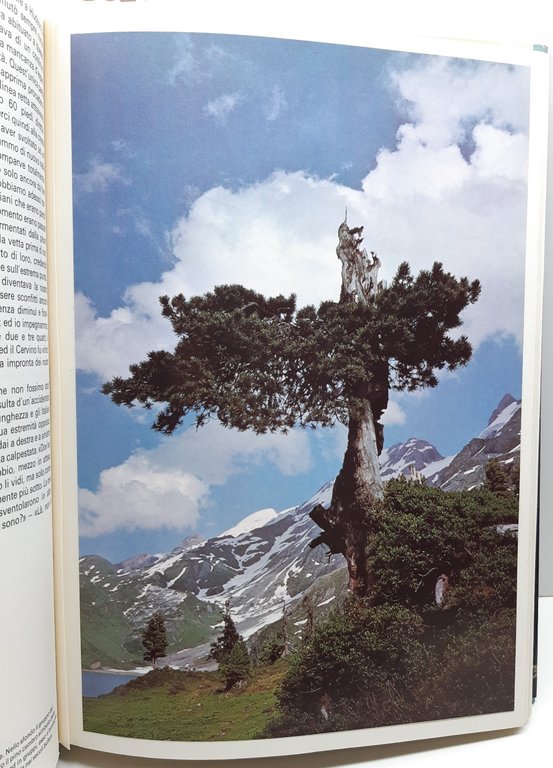 Herbert Maeder Monti magici Silva Zurigo 1971