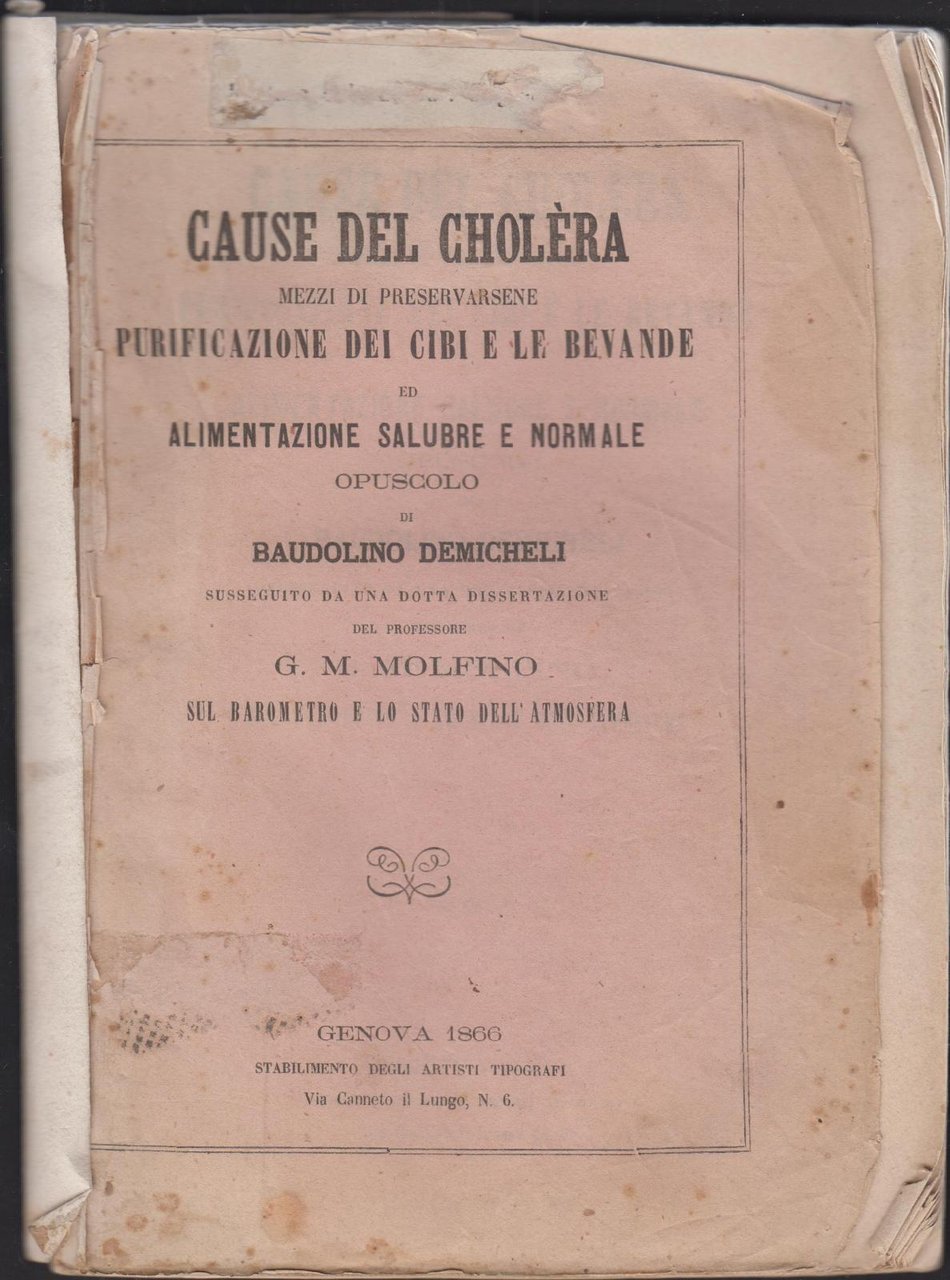 Colera B. Demicheli Cause del cholera purificazione di cibi e …